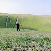 ���������� ���������, ���� ����� �������, 25 ���, ������������ ��� ������, ����� � ���������