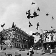  ,   Nikolai, 72 ,   ,   , c 