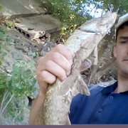 ���������� ���������, ���� ������� ����, 33 ����, ������������ ��� ������, ����� � ���������, c�������� ���������