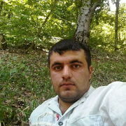 ���������� ����, ���� ������� Habil, 41 ���, ������������ ��� ����� � ���������