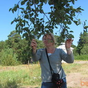 ���������� �����-���������, ���� ������� �������, 64 ����, ������������ 