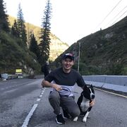 ���������� ������, ���� ������� �����, 38 ���, ������������ ��� ������, ����� � ���������, c�������� ���������, ���������