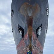 ���������� �����������, ���� ������� ������, 48 ���, ������������ ��� ������, ����� � ���������