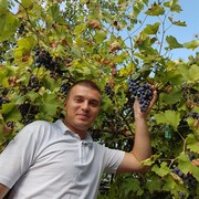 ���������� �����-���������, ���� ������� �����, 38 ���, ������������ ��� ����� � ���������, c�������� ���������