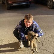 ���������� �������, ���� ����� ����, 20 ���, ������������ ��� ������, ����� � ���������, c�������� ���������