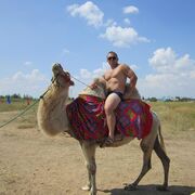 ���������� ���������, ���� ������� �����, 38 ���, ������������ ��� ������, ����� � ���������