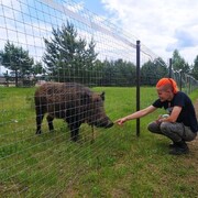 ���������� ������, ���� ����� ����, 24 ����, ������������ ��� ������, ����� � ���������