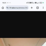 ���������� �����-���������, ���� ������� ���, 43 ����, ������������ ��� ������, ����� � ���������