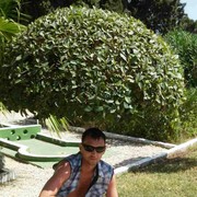  ,   , 33 ,   ,   , c 