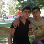  ,   Art, 29 ,   