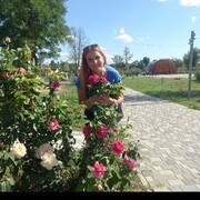  -,   , 35 ,   ,   , c 