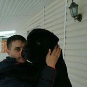 ���������� ������-��-����, ���� ������� �����, 37 ���, ������������ ��� ������, ����� � ���������, c�������� ���������, ���������