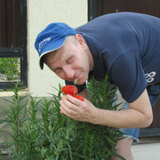  ,   IGOR, 53 ,   ,   , c 