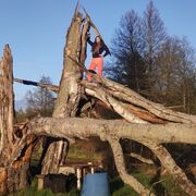 ���������� ������ ��������, ���� ������� �����, 26 ���, ������������ ��� ����� � ���������, c�������� ���������