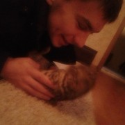 ���������� ���������, ������� �����, 28