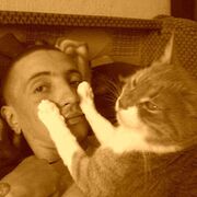 ���������� �������, ���� ������� �������, 40 ���, ������������ ��� ������, ����� � ���������, ���������