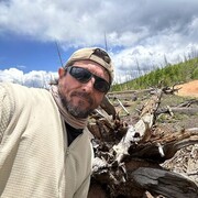 ���������� ������, ���� ������� �����, 55 ���, ������������ ��� ������, ����� � ���������, c�������� ���������