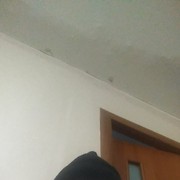 ���������� ����������, ������� �����, 56