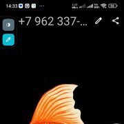  -,   , 55 ,     , c , 