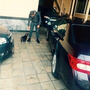 ���������� �������, ���� ������� Bexruz, 30 ���, ������������ ��� ������, ����� � ���������, c�������� ���������