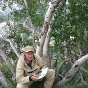 ������� ������, ������������!