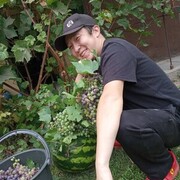 ���������� ������, ���� ������� Jolaman, 31 ���, ������������ ��� ������, ����� � ���������, c�������� ���������