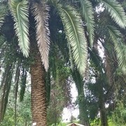  ,    , 33 ,   ,   , c 