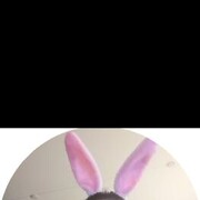 ���������� ������������, ���� ������� �������, 29 ���, ������������ ��� ������, ����� � ���������, c�������� ���������