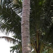  ,   , 57 ,   ,   , c 