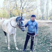 ���������� ������, ���� ������� �����, 31 ���, ������������ ��� ������, ����� � ���������