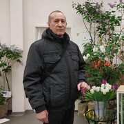  -,   , 66 ,   ,   