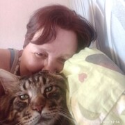  ,   , 42 ,     , 