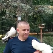  ,   , 48 ,  
