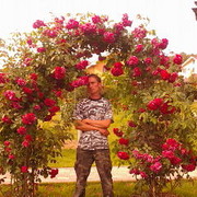  ,   , 55 ,   ,   , c 