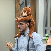 ���������� ������, ���� ������� ������, 34 ����, ������������ ��� ������, ����� � ���������, c�������� ���������