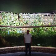 ,   , 40 ,   ,   