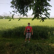 ���������� �������, ���� ������� Alisher, 40 ���, ������������ ��� ������, ����� � ���������, c�������� ���������