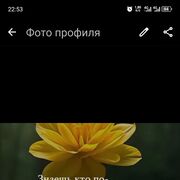 ���������� �������, ������