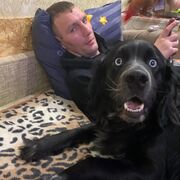 ���������� ���, ���� ������� �����, 40 ���, ������������ ��� ������, ����� � ���������