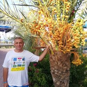  ,   , 62 ,   ,   , 