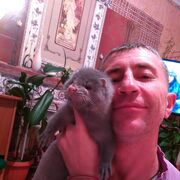  ,   , 50 ,   ,   , c 