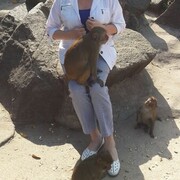 ���������� ������, ���� ������� ������, 63 ����, ������������ ��� c�������� ���������