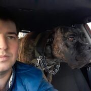 ���������� �����-���������, ���� ������� �����, 35 ���, ������������ ��� ������, ����� � ���������, c�������� ���������