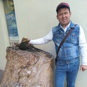  -,   , 43 ,     , c 