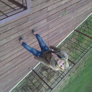 ���������� ������, ���� ������� ����������, 33 ����, ������������ ��� ������, ����� � ���������, c�������� ���������