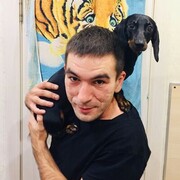 ���������� ������, ���� ������� ��������, 36 ���, ������������ ��� ������, ����� � ���������, c�������� ���������