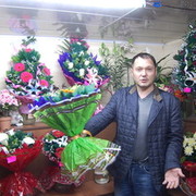 ����������...