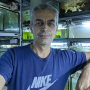  ,   , 52 ,   ,   
