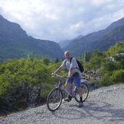 ���������� �������, ���� ������� Vikont, 60 ���, ������������ ��� ������, ����� � ���������, c�������� ���������