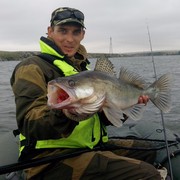 ���������� �����-���������, ���� ������� �������, 43 ����, ������������ ��� ������